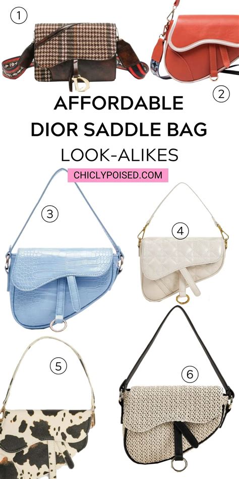 dior saddle bag look alike.